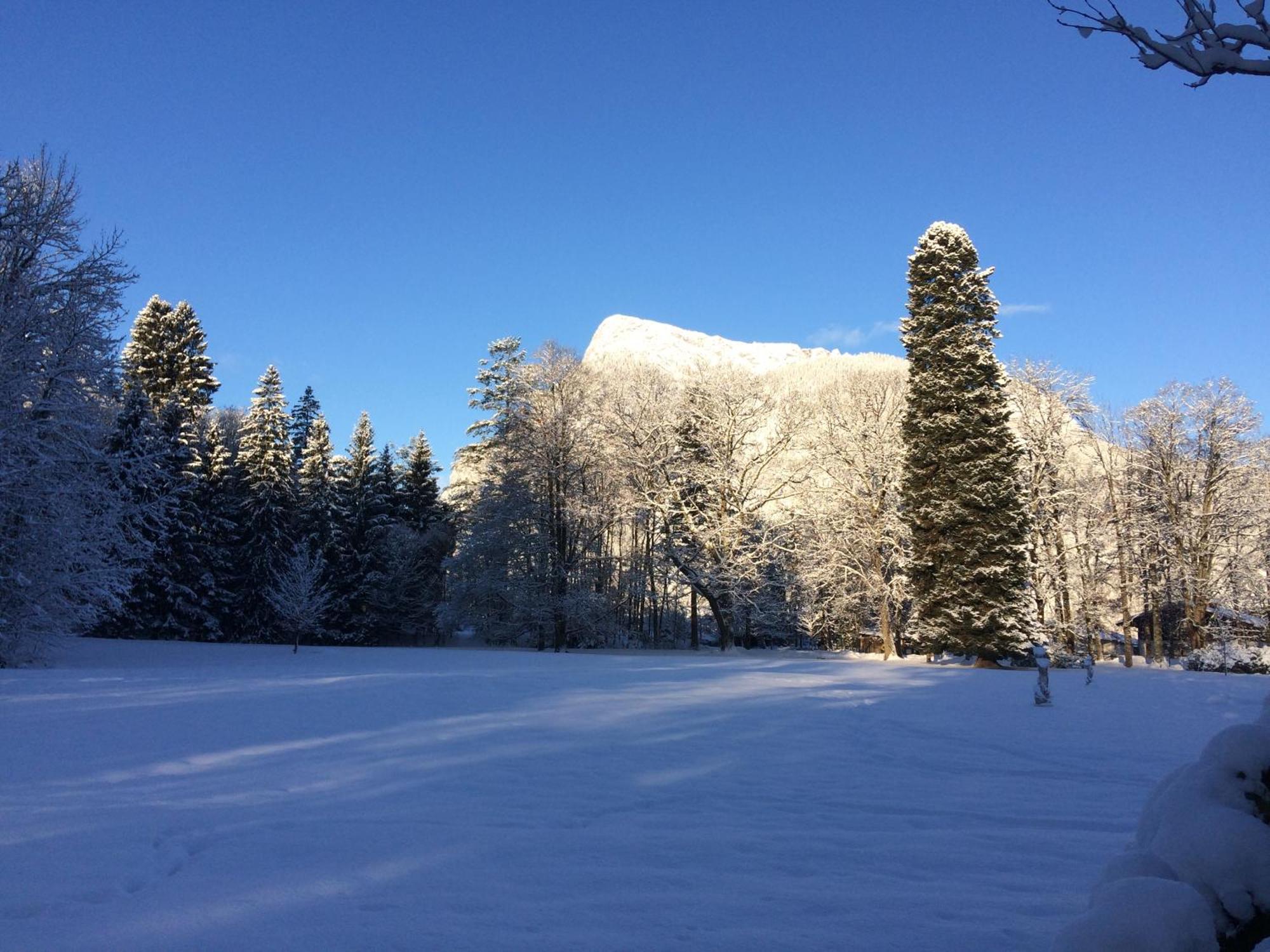 Apartmán Grubhof Sankt Martin bei Lofer Exteriér fotografie